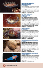 Load image into Gallery viewer, Maritime Marine Life—Field Guide to Fishes, Invertebrates and Plants of the Northwest Atlantic