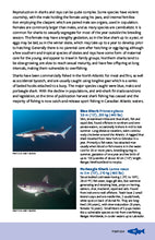 Load image into Gallery viewer, Maritime Marine Life—Field Guide to Fishes, Invertebrates and Plants of the Northwest Atlantic