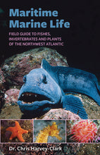 Load image into Gallery viewer, Maritime Marine Life—Field Guide to Fishes, Invertebrates and Plants of the Northwest Atlantic
